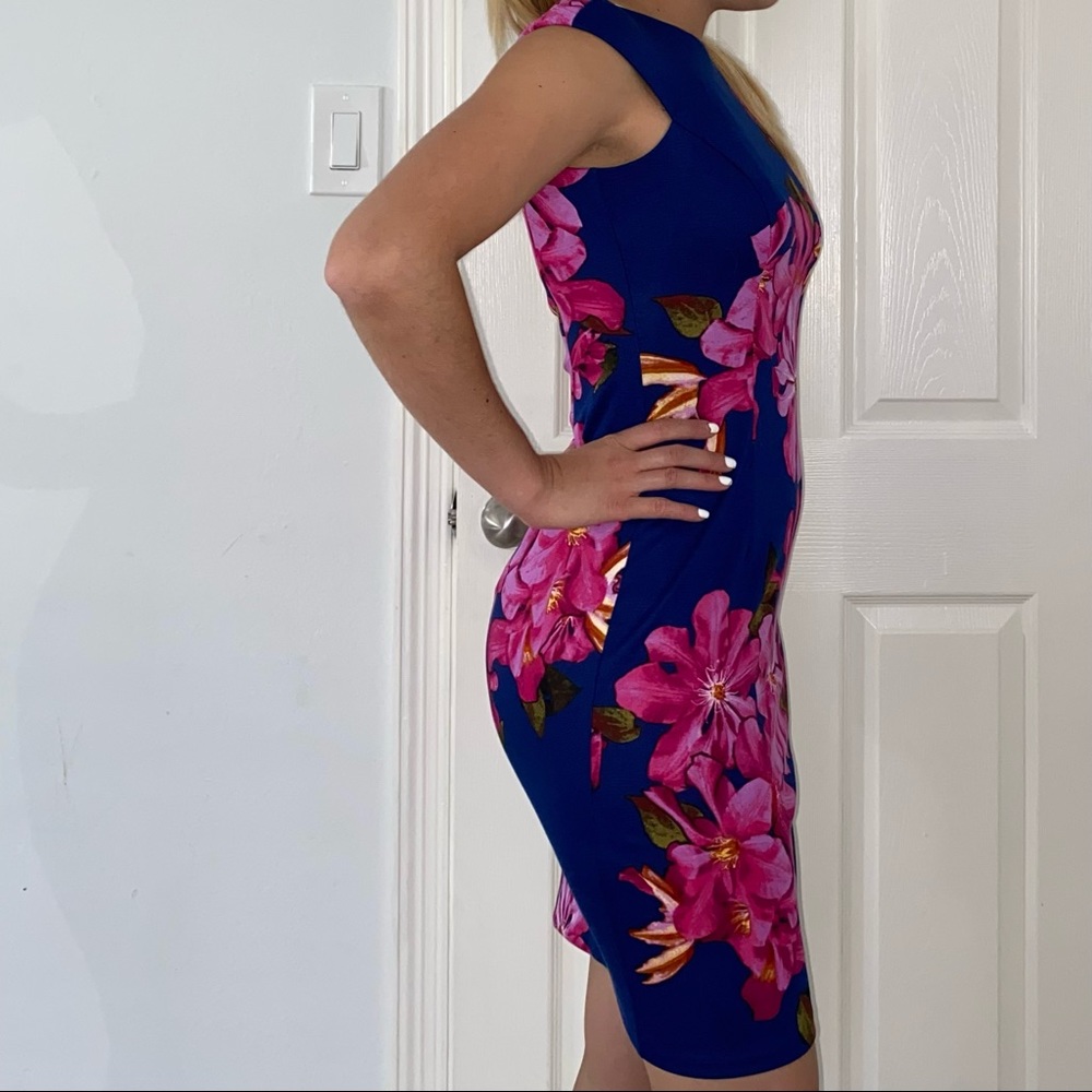 NWT. Flowers navy and fusha Wisp Tressa Ponte dress. Size 0